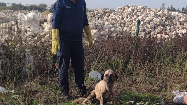 Samandağ'da Kuyuya Düşen Sahipsiz Köpek İtfaiye Tarafından Kurtarıldı