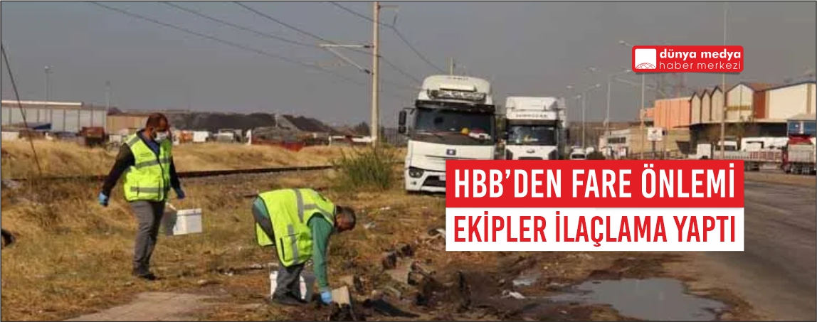 HBB’den Sarıseki’de Fare Sorununa Anında Müdahale