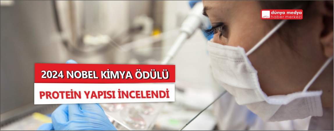 2024 Nobel Kimya Ödülü: Protein yapısı tahmini ve tasarımı alanında çığır açan başarılar!