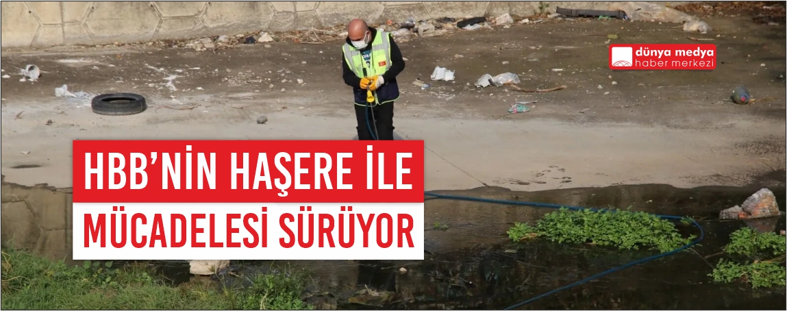 Hatay Büyükşehir Belediyesi'nden Haşereyle Mücadelede Kararlı Adımlar